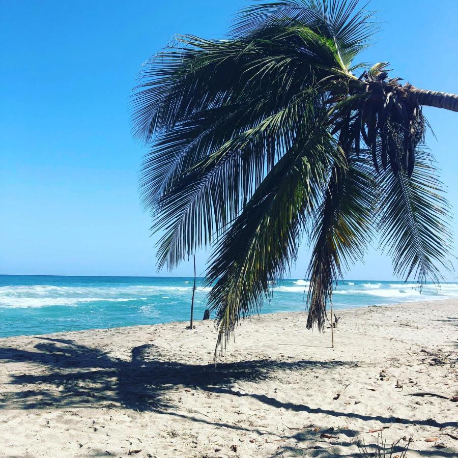Hostal Estrellas Del Tayrona Playa Mendihuaca Guachaca Extérieur photo